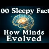 How Minds Evolved _ 100 Facts to Fall Asleep To _ No Adverts