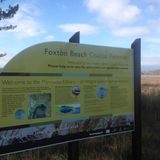 Around the World: New Zealand Foxton and Foxton Beach