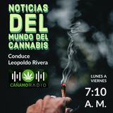 Noticias del mundo del Cannabis 18-02-2021