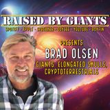 Giants, Elongated Skulls, Cryptoterrestrials with Brad Olsen