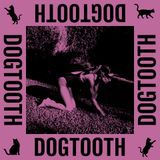 82 - Dogtooth (2009)