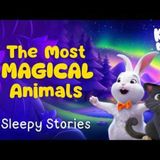 The Most Magical Animals 🐰🪄  Calming Sleep Stories For Kids _ Bedtime Stories Read Aloud