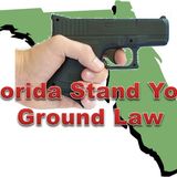 Miami-Dade Judge Rules New Florida SYG Law Unconstitutional