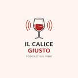 Gavi DOCG: Un Tesoro Italiano con La Scolca