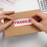 THE CEO ADVISOR | EPISODIO 89 – Sistemi grandi, sistemi fragili