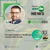 Produção de café deve cair 4,4%, mantendo os preços altos