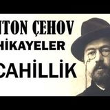 Cahillik  Anton Çehov Hikayeler sesli kitap tek parça seslendiren Akın ALTAN