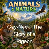 Gay-Neck The Story of a Pigeon - Dhan Gopal Mukerji