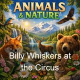 Billy Whiskers at the Circus - Frances Trego Montgomery