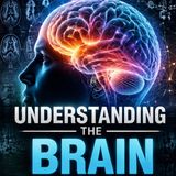 DISCUSSING NOREPINEPHRINE, GABA, GLUTAMATE, AND MORE