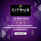 La Guía Citrus Patrimonial Opiniones de Variedades de Cítricos Patrimoniales