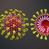 L'épidémie de coronavirus - خطبة عن فيروس كورونا