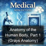 052 - Comparison of Bones of Hand and Foot The Sesamoid Bones