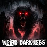 The Black Dogs That Appear Before You Die | And the People Who Have Seen Them