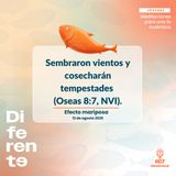 Efecto mariposa ~ Devocional de Jóvenes ~ 12 de agosto 2026