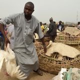 Commerce, désertification et vie familiale au programme (Le Niger sur Kalangou)