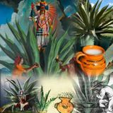 Maguey Pulque