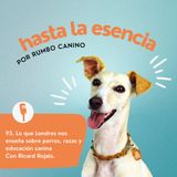 Lo que Londres nos enseña sobre perros, razas y educación canina