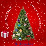 Capriole dell'Avvento - 14 dicembre 2024