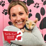 When Curiosity Becomes an Emergency: Understanding GI Foreign Bodies in Pets with Dr. Alicia Sorum