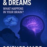 What is REM Sleep? How Dreams Are Born in Your Brain During Sleep
