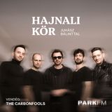 The Carbonfools: 40-50 dobsáv simán megfér nálunk egymás alatt | Park FM – Hajnali Kör