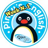 1st week Summer Camp 2026