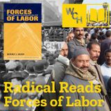E113: [TEASER] Radical Reads – Forces of Labour