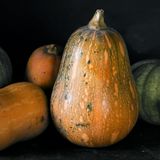 Vellutata di Zucca: il Comfort Food che Rilassa Corpo e Mente