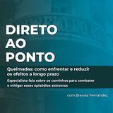 Queimadas: como enfrentar e reduzir os efeitos a longo prazo