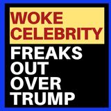 ANOTHER WOKE CELEBRITY FREAKS OUT OVER TRUMP