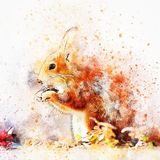 La familia de las ardillas | Cuentos de Animales