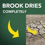 What Makes Your BROOK Dry Up Completely?