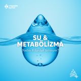 Su ve Metabolizma: Neden Günde 8 Bardak Yetmiyor?