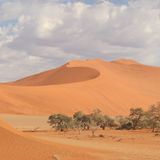 Namibia: dove il deserto incontra l'oceano