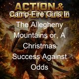 Camp-Fire Girls In The Allegheny Mountains or A Christmas Success Against Odds - Stella M Francis