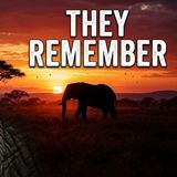 African Wildlife Facts For Deep Sleep