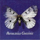 Gabriella Fenocchio "La tristezza ci avvolge come miele" Francesco Guccini