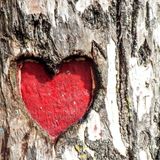 Al mio cuore, di domenica