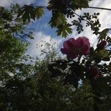 Nurturing and Heart-Based Living