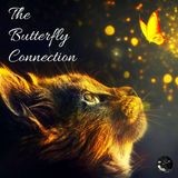 EP - 34 The Butterfly Connection | Paranormal, Supernatural, Spirit Guide