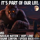 The Bigfoot That Took the Calf — and Came Back for More!