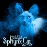 S2E1: Sphynx Cat