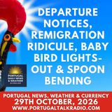 Departure notices, remigration ridicule, baby bird lights-out & spoon bending plus weather currency