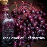 Episode 151. Why Elderberry Works When Big Pharma Won’t┃Jessica Lowery