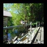 From the Pond to the Clubhouse