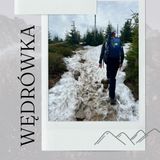 Kurs drużynowych