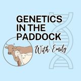 Merinos, Terminals, Maternals... It's Time to Talk SheepGenetics with Peta Bradley