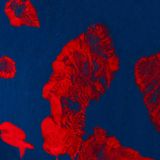 Narcisismo, Ontologia e il "Dio" delle Teologie Abramitiche: Una Critica Filosofico-Ontologica