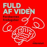 Da havet slog hul – hvad fortæller fortidens stormfloder om fremtiden?